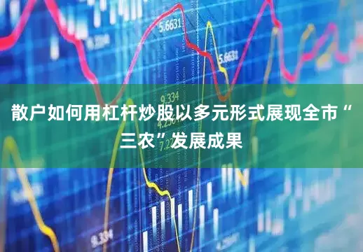 散户如何用杠杆炒股以多元形式展现全市“三农”发展成果