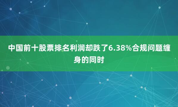 中国前十股票排名利润却跌了6.38%合规问题缠身的同时